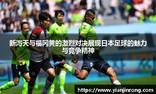 B体育bsports